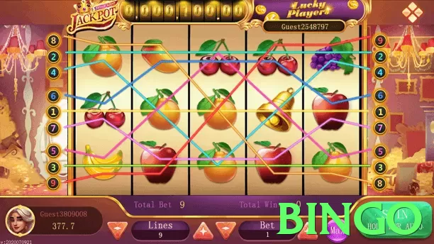Bingo Pakistan - 3